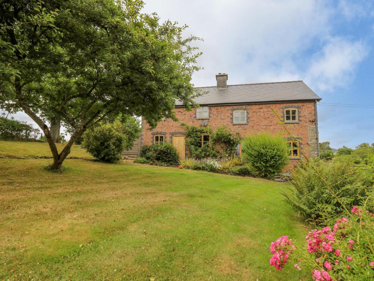 Byrdir Cottage Llanwrthwl Exteriér fotografie